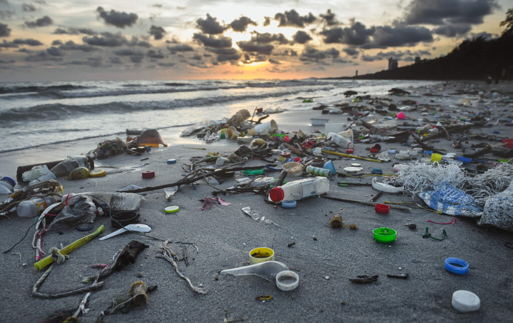plastic waste washed up on a beach