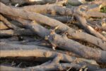 garden waste summer skip hire